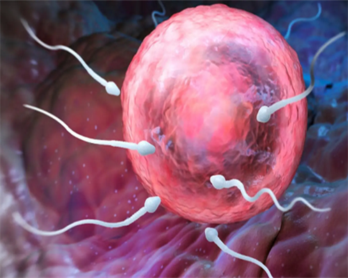 合肥地区私立机构代生包价格技术及医院选择指南